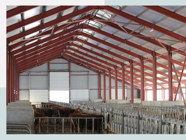 Строительство коровников в Геленджике