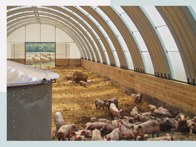 Строительство свинарников в Геленджике