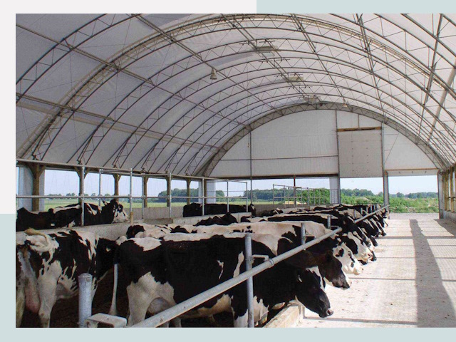 Тентовые коровники в Геленджике